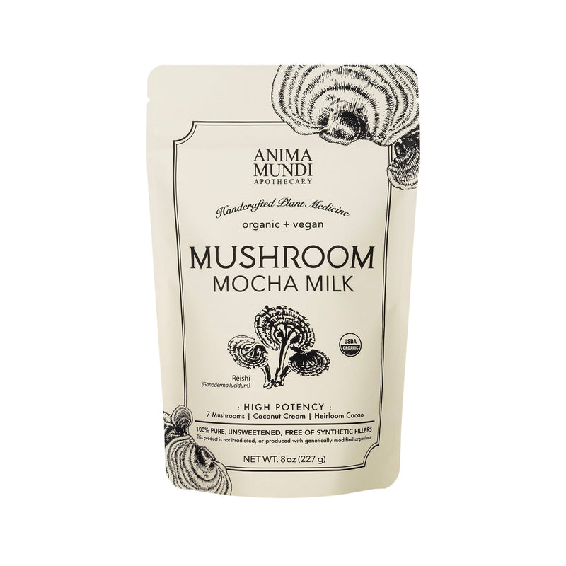 Indisponible - Lait aux champignons Mushroom Mocha Milk Nicht verfügbar – Pilz-Mokka-Milch - Anima Mundi